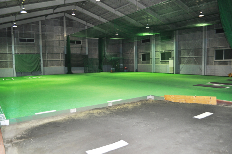 PBS�싅�m�摜�R