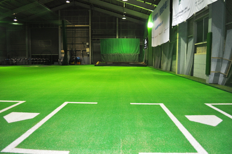 PBS�싅�m�摜�P�S