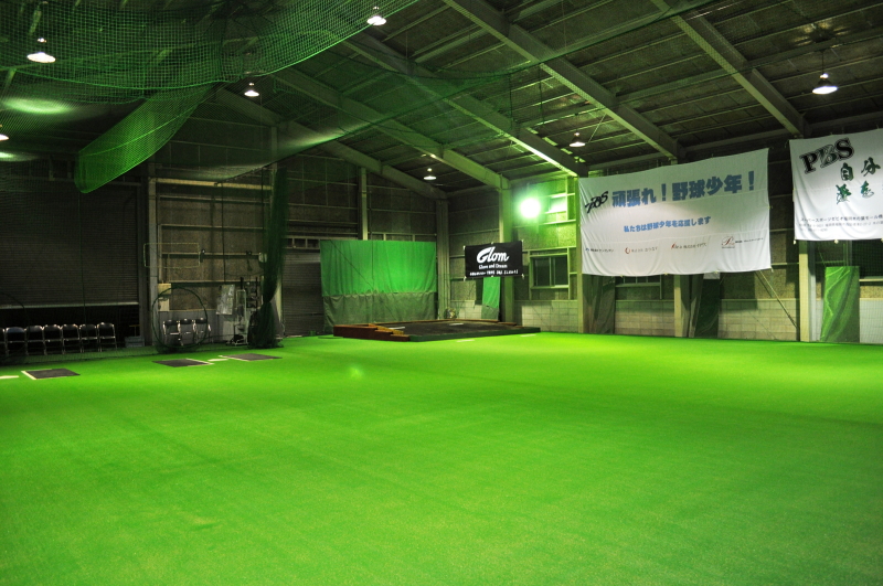 PBS�싅�m�摜�Q