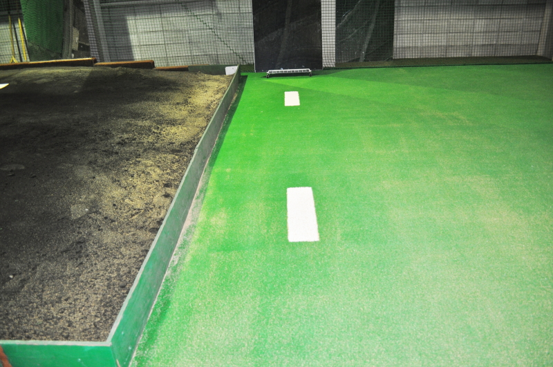 PBS�싅�m�摜�U