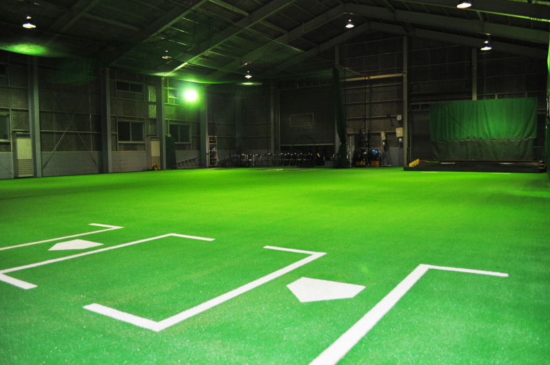 PBS�싅�m�摜�T