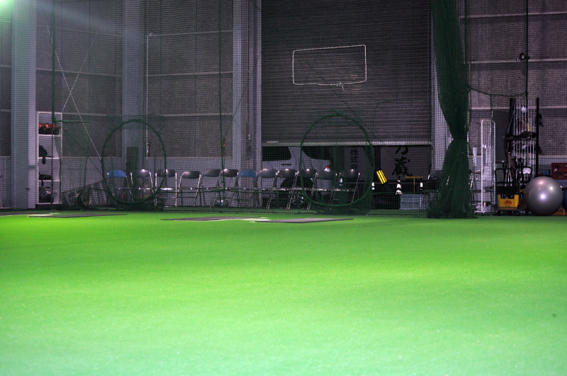 PBS�싅�m�摜�P�O