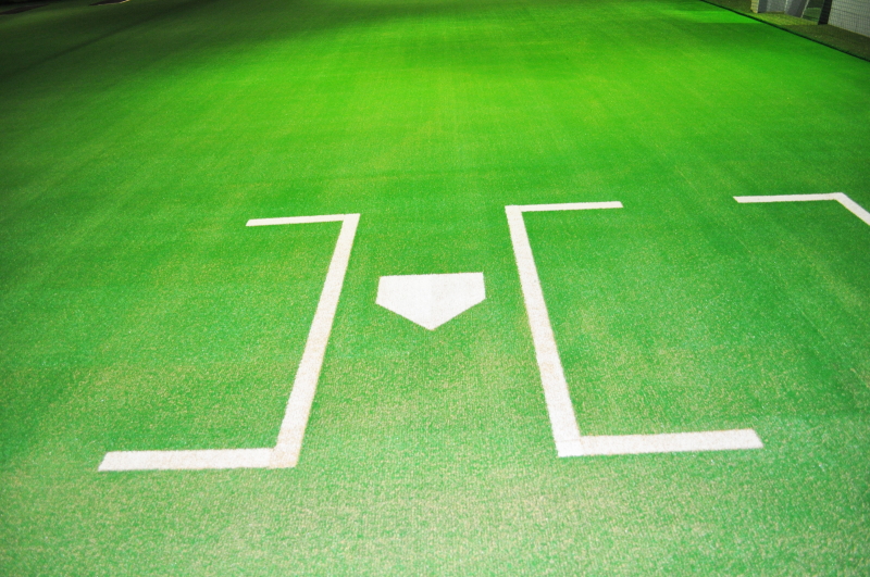 PBS�싅�m�摜�V