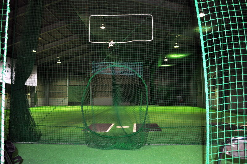 PBS�싅�m�摜�W