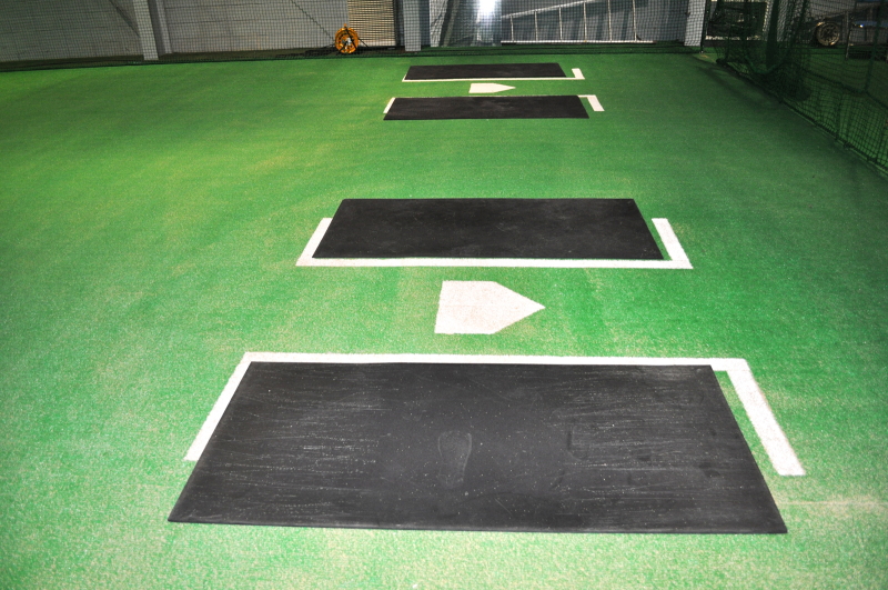 PBS�싅�m�摜�P�P